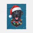 Search for black santa blankets Dog