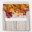 Search for fall color Leaves