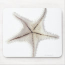 Search for creature standard mousepads Starfish