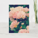 Search for peachy cards Pink