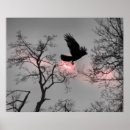 Search for flying crows posters Nature