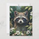 Search for cute raccoons postcards Wildlife