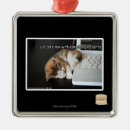 Search for lol ornaments I can has cheezburger