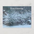 Search for snow scene postcards Snowing