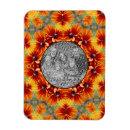 Search for orange daisy magnets Flower