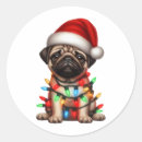Search for cute pug stickers Puppy