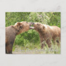 Search for interactive postcards Wildlife