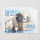 Search for pug gifts Celebration