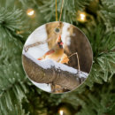 Search for female cardinal ornaments Wildlife