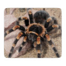 Recherche de araignée planches à découper Éffrayant