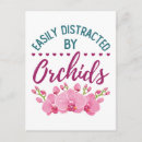 Recherche de orchidée cartes postales Jardin