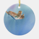 Search for sea turtle ornaments Blue