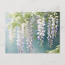 Recherche de glycines cartes postales Romantique