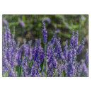 Recherche de lavande planches à découper Fleurs