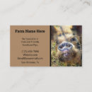 Search for pig farm business cards Livestock
