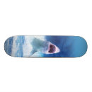 Recherche de requin skateboards Mer