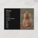 Search for prairie business cards Animal