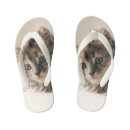 Recherche de chaton tongs De chat