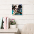 Search for swimming underwater clocks Animal lover