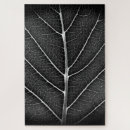 Recherche de veine puzzles Feuille