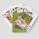 Recherche de de chaton jeux Girl
