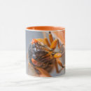Search for cicadas mugs Magicicada