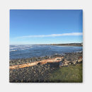 Search for seaside magnets Waves