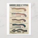 Recherche de serpent venimeux posters Toxique