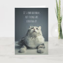Search for things cards Kitten
