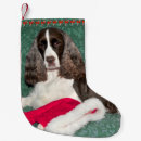 Recherche de espagnol chaussette de noël Vacances