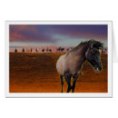 Recherche de troupeau de chevaux sauvages cartes postales Animaux