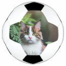 Search for cat animal soccer balls Pet