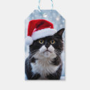Search for christmas cat gift tags Kitten