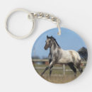 Search for appaloosa keychains Bob langrish