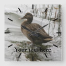 Recherche de le canard horloges Oiseau