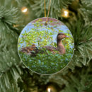 Search for duckling ornaments Pond