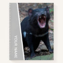 Search for tasmanian devil Australia