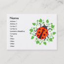 Recherche de coccinelle rouge cartes visite Animaux