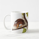 Search for richardson mugs Mammal
