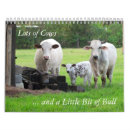 Search for calf calendars Cow