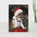 Search for naughty nice cards Candy