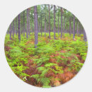 Recherche de fraicheur autocollants Vert