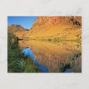 Search for medium stamp postcards Ie