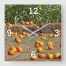 Recherche de foin horloges Nature