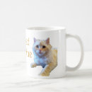 Search for caffeine cat mugs Cute