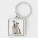 Search for english bulldog keychains Animals