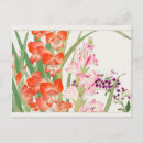 Search for gladiolus postcards Floral