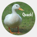 Search for white ducks stickers Quack