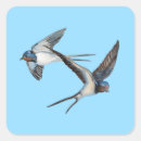 Recherche de acrobaties aériennes autocollants Acrobatie aérienne