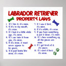 Recherche de labrador retriever posters Funny